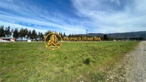 Parcela en venta en Tijeral, Renaico, con terreno de 5.000 m²